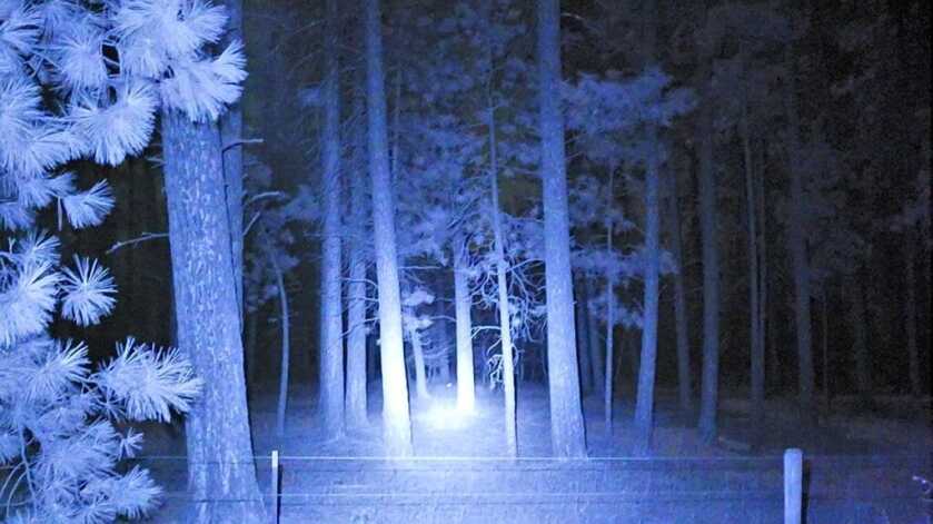 SiOnyx Aurora Pro - Improved Poor man’s PVS-14? SiOnyx Aurora Pro - Improved Poor man’s PVS-14?