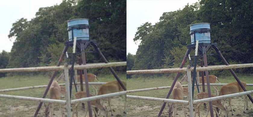 Get a Jump on Next Year’s Buck with the Fusion Wireless Trail Cam Get a Jump on Next Year’s Buck with the Fusion Wireless Trail Cam