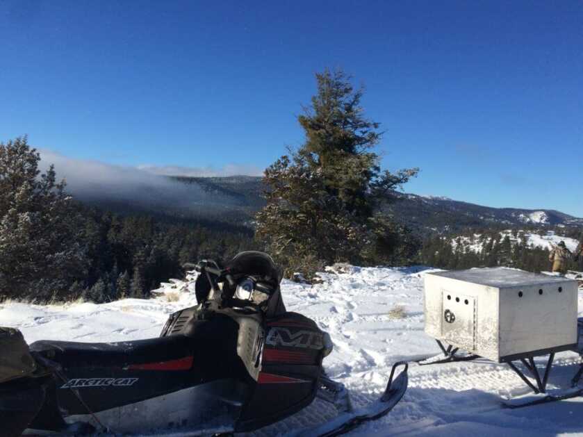 Tips For Winter Hound Hunts