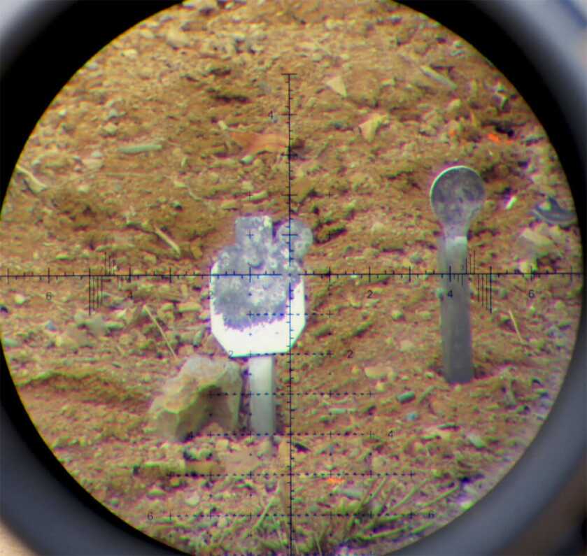 Review: Burris RT25 Long Range