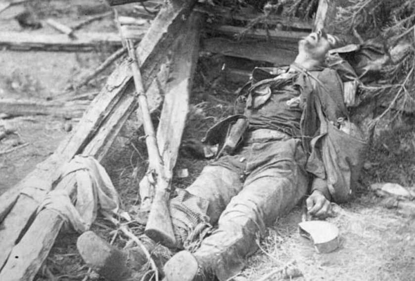 The Siege of Vicksburg, Slavery, and a Freshly-Dug Rose Bed The Siege of Vicksburg, Slavery, and a Freshly-Dug Rose Bed