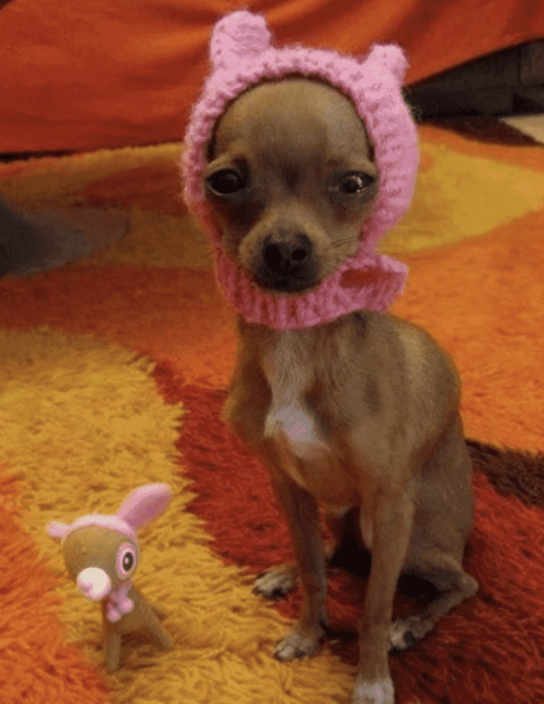 Albert Patterson, the British SAS, and Gun Control Gone Mad Albert Patterson, the British SAS, and Gun Control Gone Mad