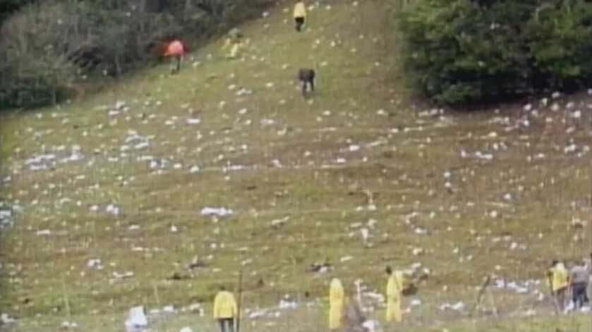 David Burke: I am the Problem