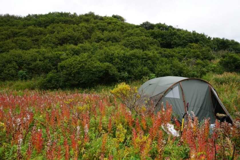 Moose Logistics of Alaska