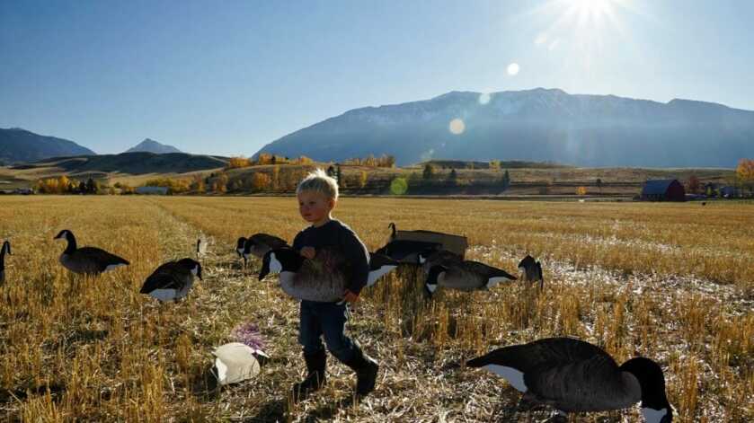 Field Goose Hunting Fundamentals