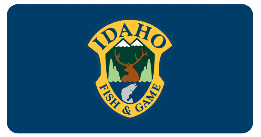 Idaho Hunter Gets 'Slap on the Wrist' for Unlawfully Killing a Mountain Goat, Other Felonies