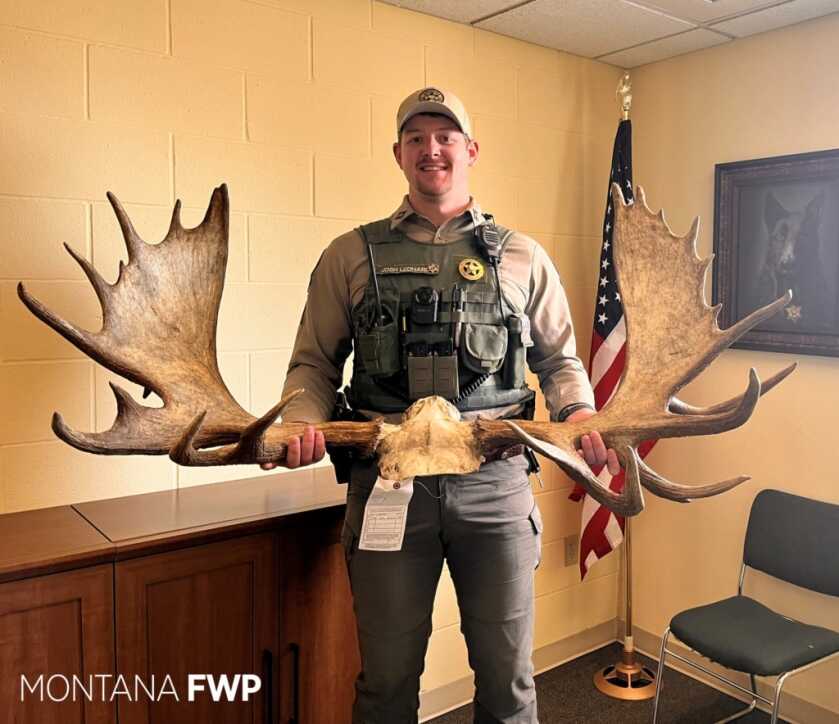 Montana Man Receives Lifetime Hunting Ban for Poaching Moose Montana Man Receives Lifetime Hunting Ban for Poaching Moose