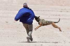 Sig Freedom Days – Media Day for the Masses! Sig Freedom Days – Media Day for the Masses!