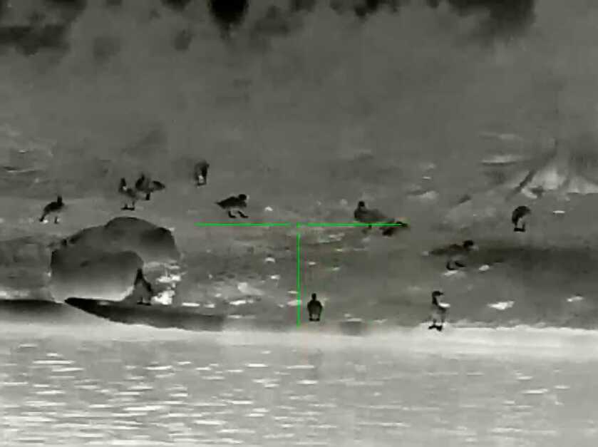 InfiRay Outdoor Mk1 384 RL42 Thermal - Full Review InfiRay Outdoor Mk1 384 RL42 Thermal - Full Review