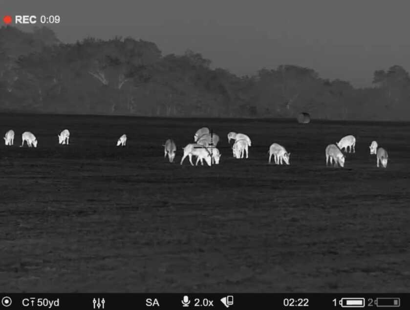 Analog/Digital Night Vision & Thermal Explained