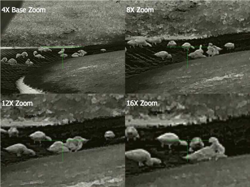 InfiRay Outdoor Mk1 384 RL42 Thermal - Full Review InfiRay Outdoor Mk1 384 RL42 Thermal - Full Review