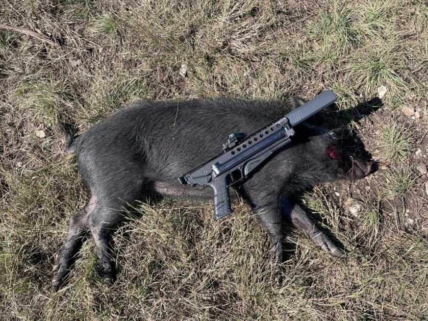 KelTec P50 Full Review – King of the 5.7 KelTec P50 Full Review – King of the 5.7