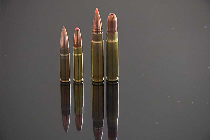 The Ultimate Suppressed Hunting Cartridge: 375 Raptor