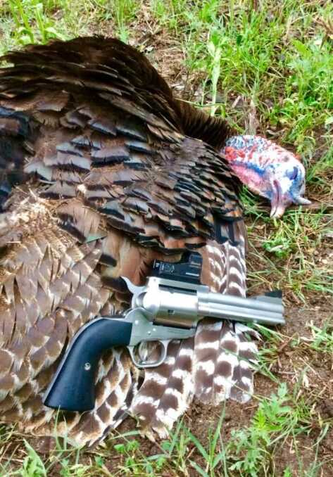 Freedom Arms 555, Safari Club International Freedom Arms 555, Safari Club International