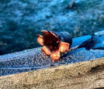 Freedom Arms 555, Safari Club International Freedom Arms 555, Safari Club International