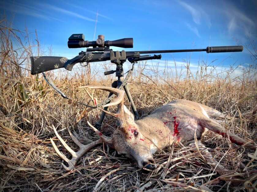 Weatherby Ultralight Mark V Backcountry 2.0 TI with buck