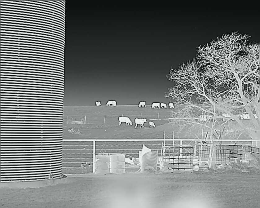 InfiRay RH25 Multi-Purpose Thermal Monocular