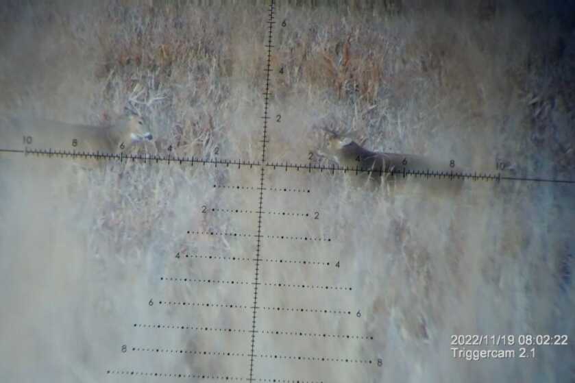 Vortex Razor HD Gen III 6-36X56 reticle overlayed on some bucks