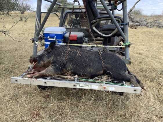 Review - Federal HammerDown ammunition Review - Federal HammerDown ammunition