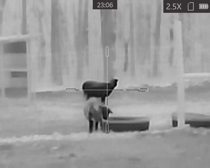 Is Cheap Thermal Worth It? Testing the AGM TS19-256 Is Cheap Thermal Worth It? Testing the AGM TS19-256