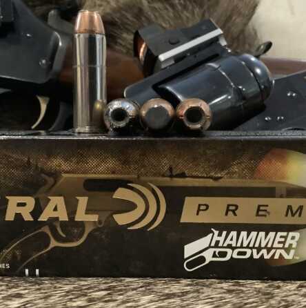 Review - Federal HammerDown ammunition Review - Federal HammerDown ammunition