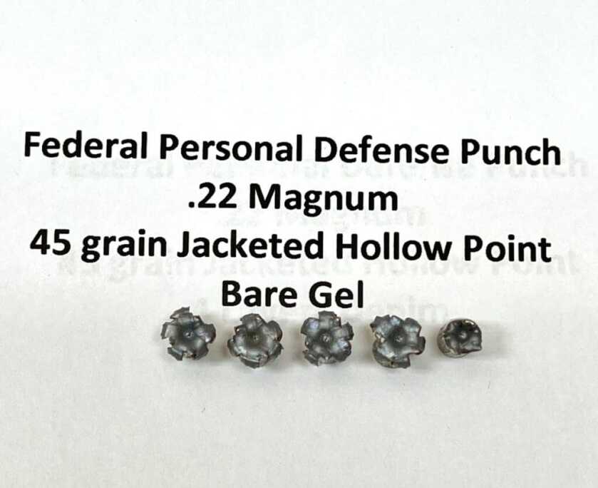 .22 Magnum for Personal Defense – Is the Juice Worth the Squeeze? .22 Magnum for Personal Defense – Is the Juice Worth the Squeeze?