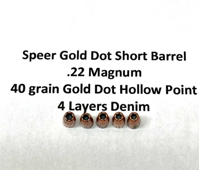 .22 Magnum for Personal Defense – Is the Juice Worth the Squeeze? .22 Magnum for Personal Defense – Is the Juice Worth the Squeeze?