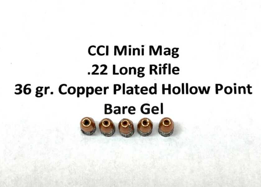 .22 Magnum for Personal Defense – Is the Juice Worth the Squeeze? .22 Magnum for Personal Defense – Is the Juice Worth the Squeeze?