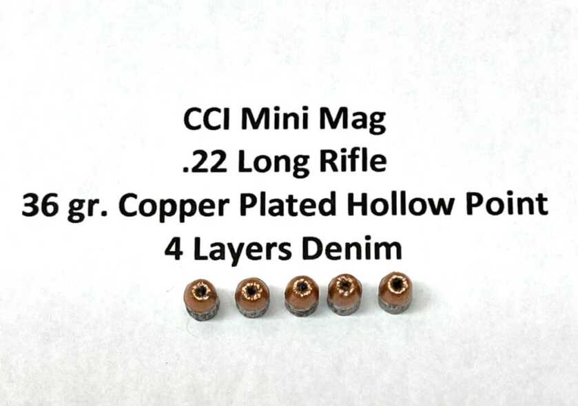 .22 Magnum for Personal Defense – Is the Juice Worth the Squeeze? .22 Magnum for Personal Defense – Is the Juice Worth the Squeeze?