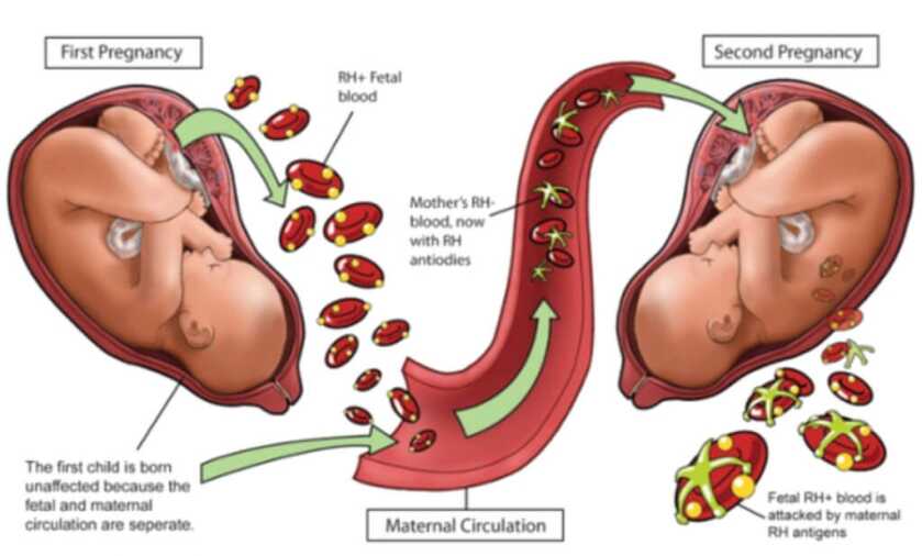 Dr. Dabbs - CPT Richard Flaherty: The Enigmatic Big Little Man