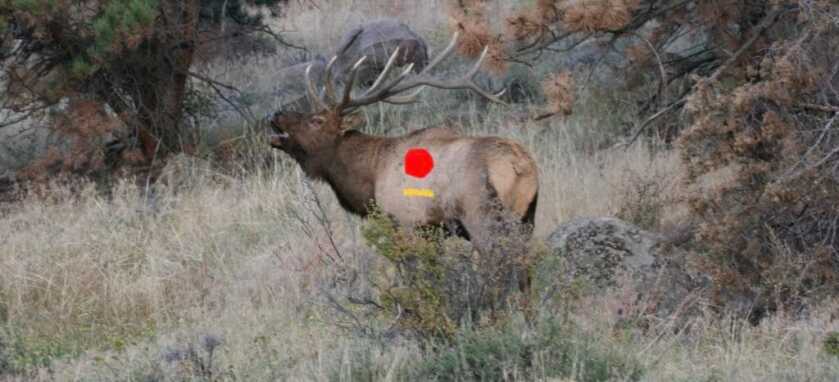 The Big Bore Levergun in 50 Alaskan The Big Bore Levergun in 50 Alaskan