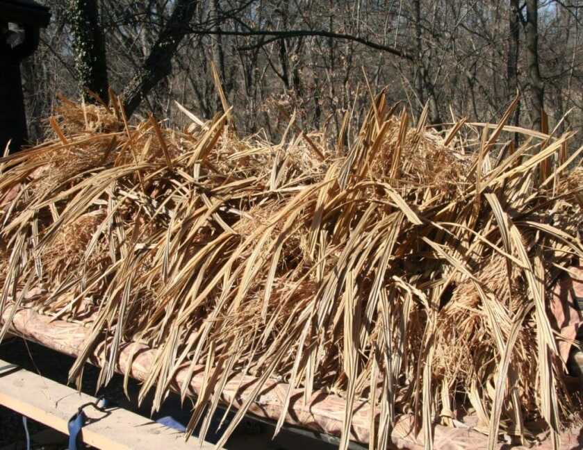 2 - Hunt365 - Duck Boats and Blind Grass