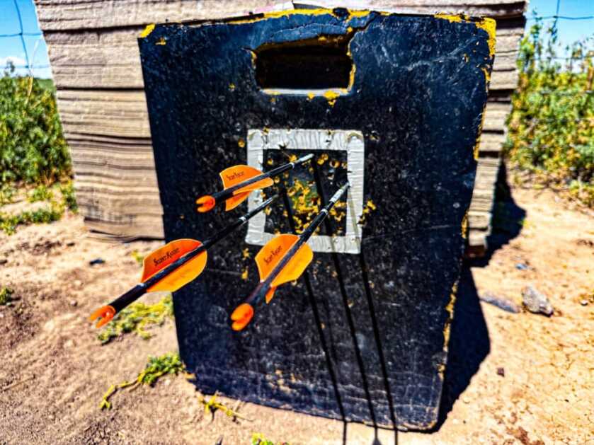 Practice target with arrows used for archery games