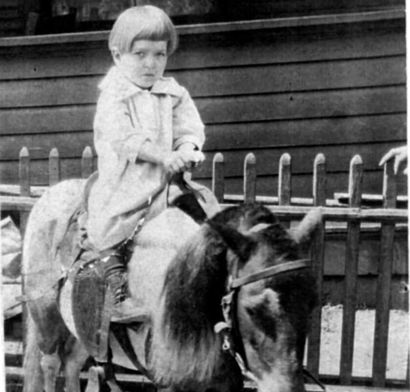 2 - Will -&nbsp;Stephanie Louise Kwolek: The Frustrated Physician Who Invented Kevlar