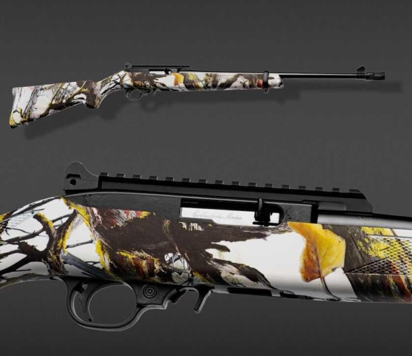 A full shot and a half shot of the Ruger 10/22 Carbine 5th edition. 