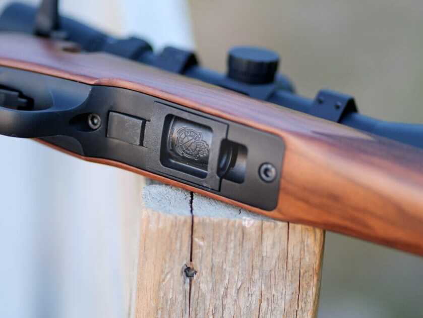 Springfield rimfire with Ruger rotary mags