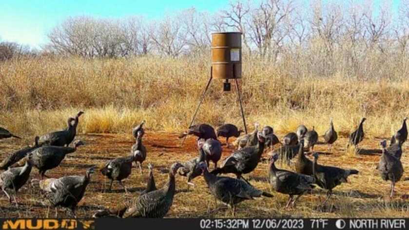 Captured! Muddy Matrix Cellular Trail Camera Review Captured! Muddy Matrix Cellular Trail Camera Review