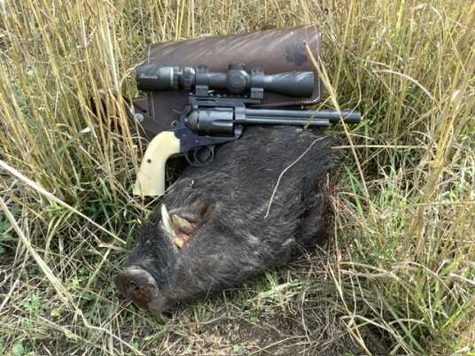 handgun Hunting wild boart