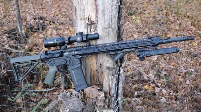 AR-15 leaning against tree stump