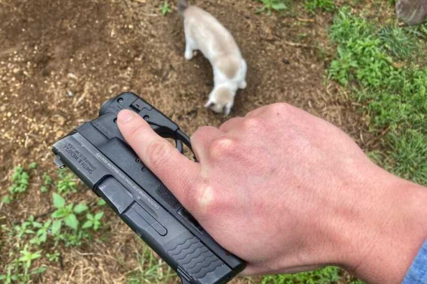 S&W Shield with Streamlight TLR-6 HL