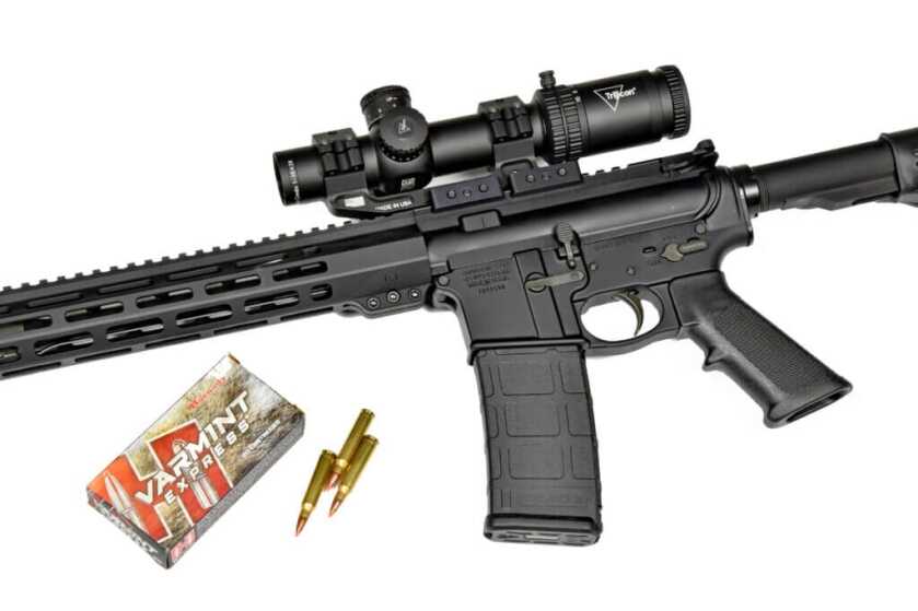 M&P Sport III rifle with Hornady Varmint Express ammunition.