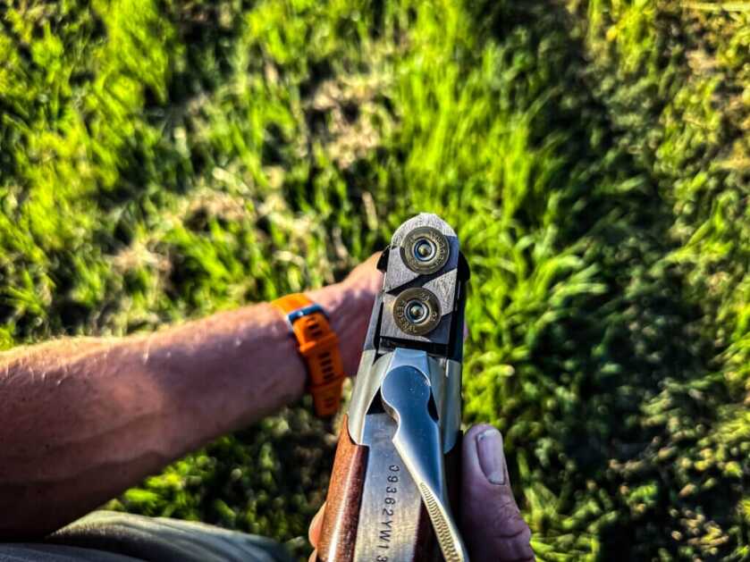 looking down at shotgun