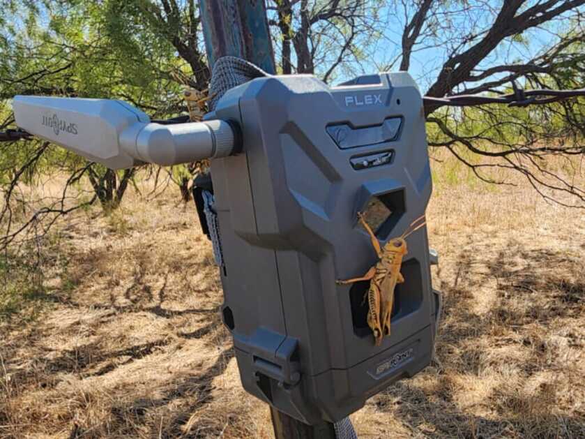 spypoint flex trail camera