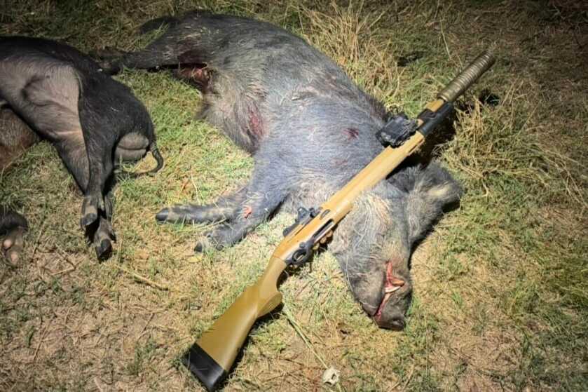 The end of a successful night out pig hunting with my buddies at Black Sheep Outdoors