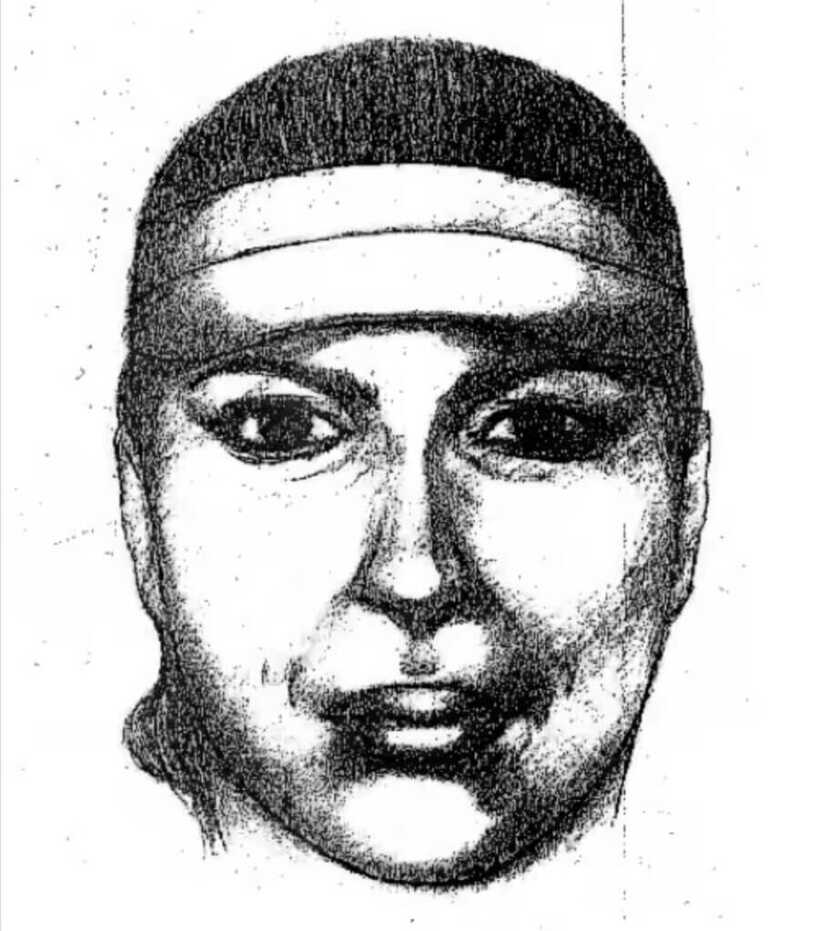 grainy police sketch of Diana