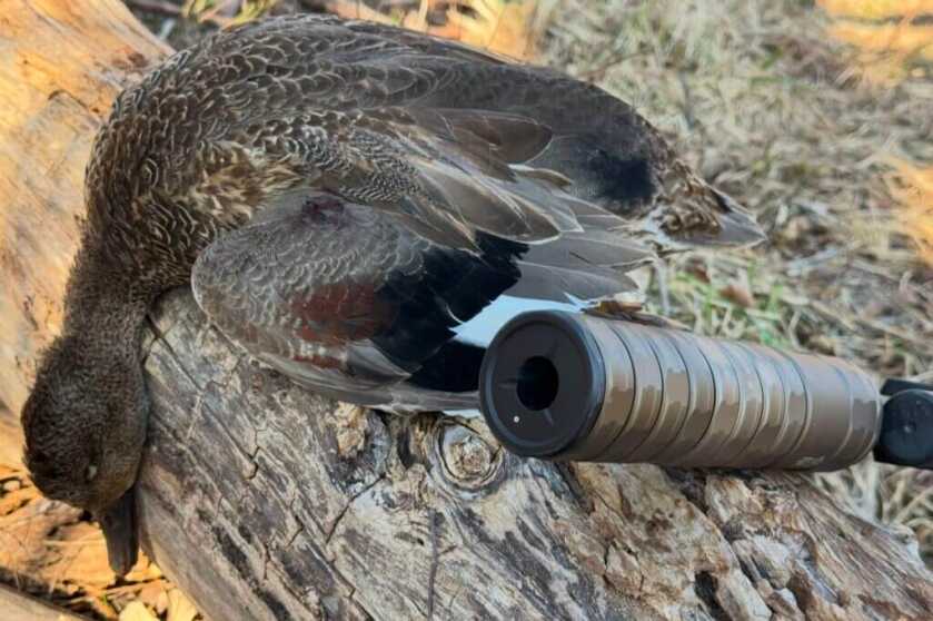 Suppressor mounted to rifle and duck resting against log