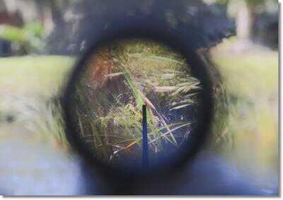 M1 Garand Sniper Variants M1C & M1D - Part 4 Garands from the Government