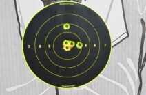 Colt Mustang XSP .380 ACP – Range Report At seven yards, the XSP shoots a tight group and the fixed sights are dead on target.