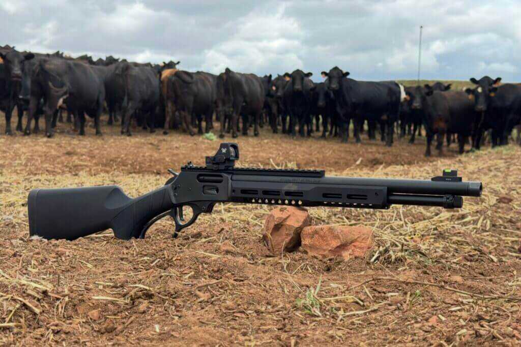 Smith & Wesson Model 1854 Stealth Hunter Review