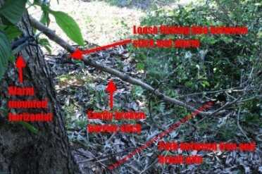 Prepping 101: Perimeter Alarms - Low Tech Security for This is a set that will work far better than a strip line that can be easily seen and stepped over in daylight. The unwelcome visitor is funneled between a brush pile and a tree, that has been blocked by an easily moved object. The object is attached to the trip wire so when it is stepped on or kicked aside, the alarm will sound.